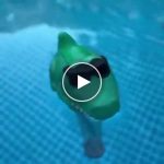 Bežični termometar za bazen – domet 60 m, IP67, unutarnji zaslon – video