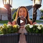 Lampa na solarni pogon za vrtne posude za biljke – video