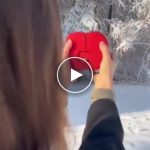 Niz u poklon kutiji – video