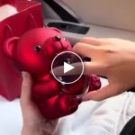Njegova ogrlica s rotirajućim medvjedićem – video