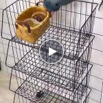 Organizator s tri košare – video
