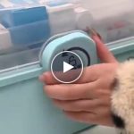 Organizator za lijekove i potrepštine – video