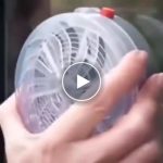 Solarno napajana zamka za insekte na prozoru – UV svjetlo, 8-satno trajanje baterije – video