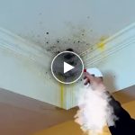 Spray za čišćenje plijesni na zidovima – video