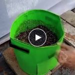 Vreće za uzgoj povrća – video